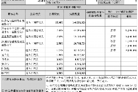 宁安融资清欠服务